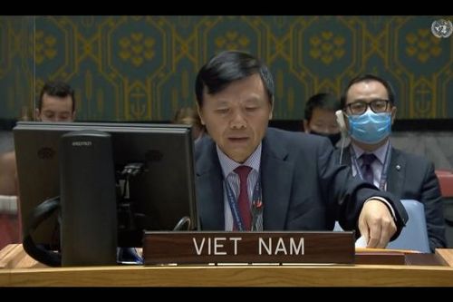 Hội đồng Bảo an khẳng định ủng hộ nỗ lực hòa bình cho Yemen của Đặc phái viên TTK LHQ mới