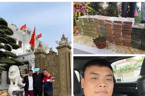 Vụ bắt anh em đại gia lan đột biến ở Quảng Ninh: Điều tra dấu hiệu rửa tiền