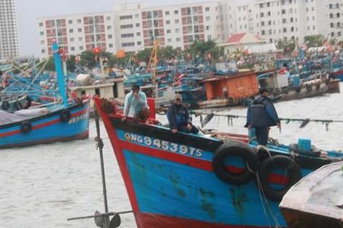 Hàng trăm tàu cá nối đuôi nhau vào âu thuyền Thọ Quang tránh bão Côn Sơn