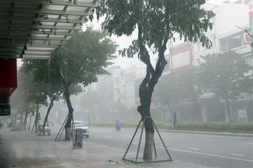 Chủ động ứng phó với bão số 5 trong bối cảnh dịch COVID-19