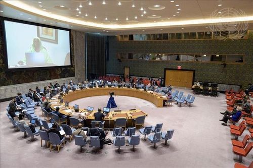 Việt Nam đề cao tầm quan trọng của việc bầu cử đúng thời hạn ở Libya