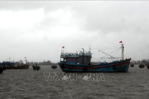 Quảng Nam: Người dân không ra đường sau 20 giờ hôm nay để tránh bão số 5