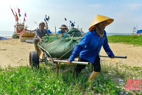 Các địa phương ven biển lên phương án sơ tán vùng ngập lụt, test nhanh COVID-19 cho ngư dân vào trú bão Conson