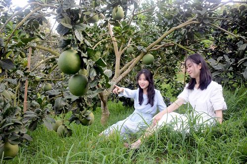 Những sản vật của mùa thu