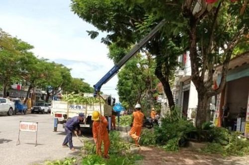 Kinh tế Xây dựng - Giao thông Phát quang, chặt tỉa, giảm tán cây ảnh hưởng đến lưới điện