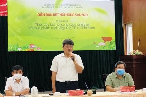 Thành công từ kết nối tiêu thụ nông sản TP. Hồ Chí Minh