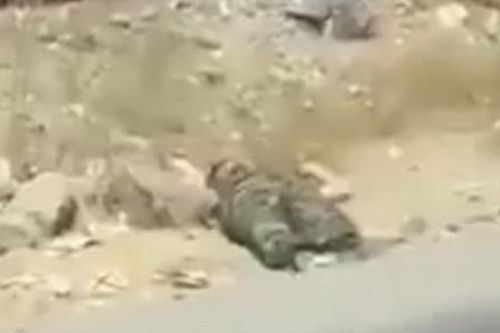 Taliban trả thù phe kháng chiến tại thung lũng Panjshir