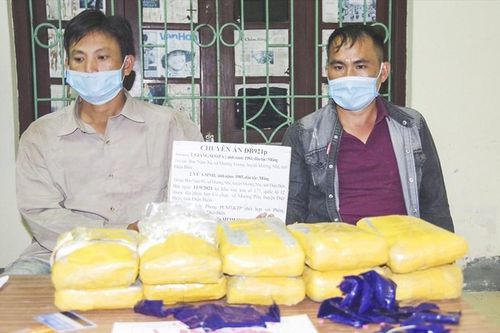 Bán 20 con bò góp vốn mua ma túy