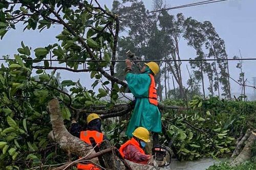 Nhiều nơi ở miền Trung và Tây Nguyên mất điện do bão