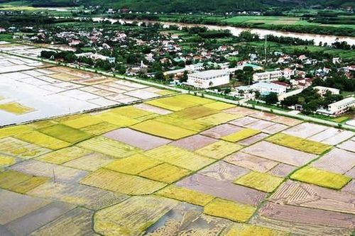Bão số 5 suy yếu, người dân Quảng Ngãi đối diện với ngập lụt