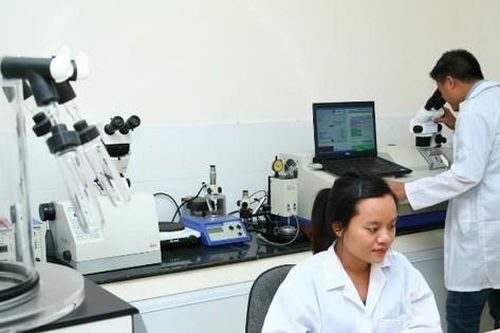 Bộ GD&ĐT công bố danh sách cơ sở, chương trình đào tạo đạt chuẩn chất lượng