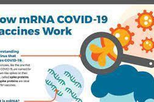 Công nghệ mRNA phát triển vắc xin COVID-19 đoạt Giải thưởng Đột phá