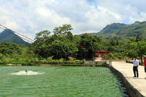 Nhiều sản phẩm nông nghiệp khó tiêu thụ