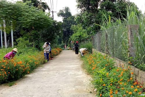 Bảo Thắng: Mặt trận Tổ quốc phát huy vai trò nòng cốt vận động xây dựng nông thôn mới
