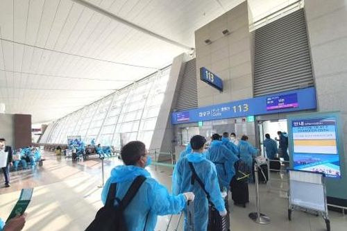 Kinh tế Kinh tế Thực hiện chuyến bay thí điểm cách ly tập trung 7 ngày với công dân từ Hoa Kỳ về nước