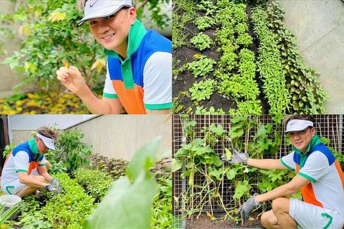 Ngắm khu vườn xanh mướt trong biệt thự 60 tỉ đồng của Đàm Vĩnh Hưng