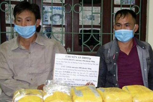 Thanh niên dùng tiền bán 20 con bò 'góp vốn' buôn hồng phiến