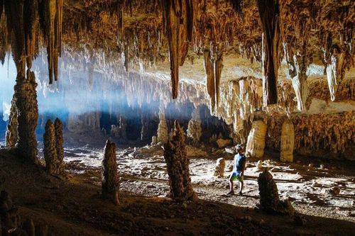 Những điểm tham quan tại Socotra