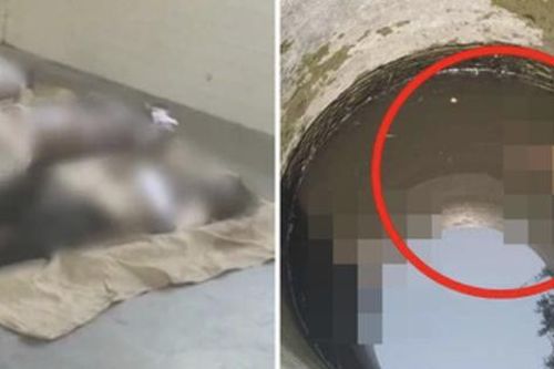 Nghi chồng ngoại tình với cô hàng xóm, vợ ra tay tàn độc để lại hiện trường ám ảnh