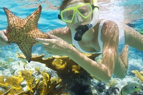 Nhiều điểm du lịch ở Bà Rịa - Vũng Tàu được hoạt động lại sau 15/9