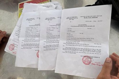Hà Nội: Phát hiện công ty cấp khống giấy đi đường