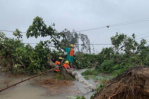 Khẩn trương khắc phục hậu quả bão số 5 và chủ động ứng phó mưa, lũ