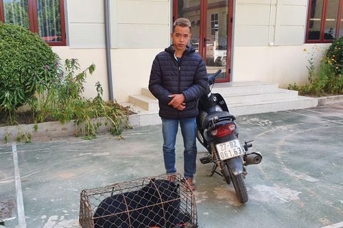 Phát hiện 2 vụ mua bán, vận chuyển động vật hoang dã