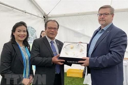 Văn hóa Việt Nam gây ấn tượng trong Lễ hội Hành tinh màu 2021