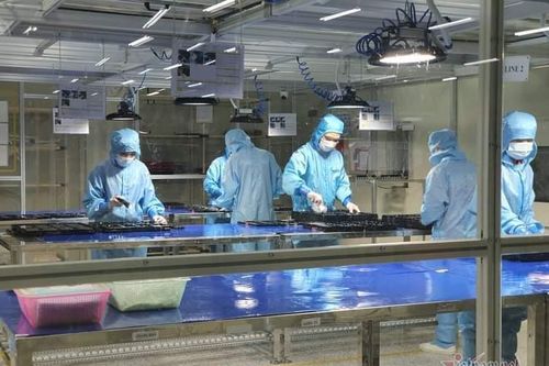 Bắc Ninh không kiểm tra xe buýt chở công nhân qua chốt kiểm dịch