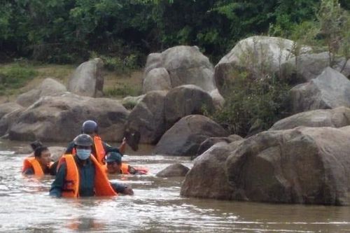 Gia Lai: Bão số 5 làm 1 người tử vong, thiệt hại hàng trăm ha hoa màu