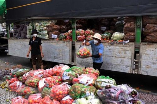 Lâm Đồng hỗ trợ 5.000 tấn nông sản giúp TP Hồ Chí Minh chống dịch