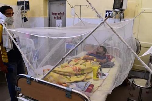 Ấn Độ: Hàng chục người tử vong nghi do dịch sốt xuất huyết bùng phát