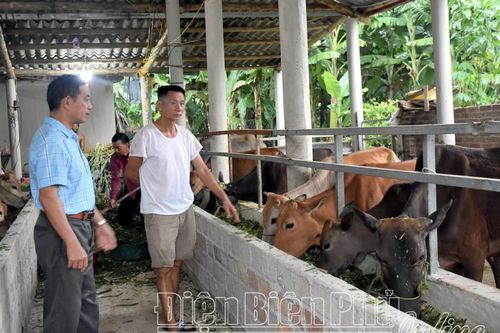 Vận dụng sáng tạo, linh hoạt đưa nghị quyết vào cuộc sống