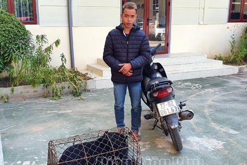 Bắt đối tượng vận chuyển trái phép cá thể động vật hoang dã nhóm 1B