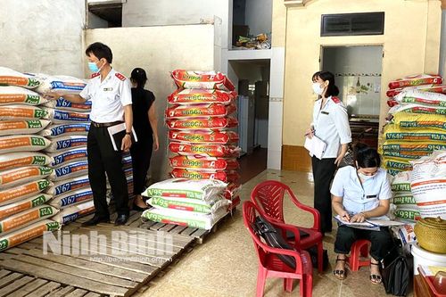 Giá lợn hơi giảm mạnh, giá thức ăn tăng, người chăn nuôi thua lỗ