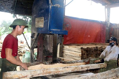 Phát triển các thành phần kinh tế ở Thanh Sơn