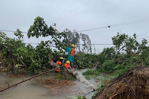 Khẩn trương khắc phục hậu quả bão số 5 và chủ động ứng phó mưa, lũ