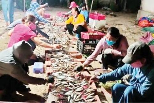 Chính trị - Xã hội An sinh xã hội 'Chung tay'