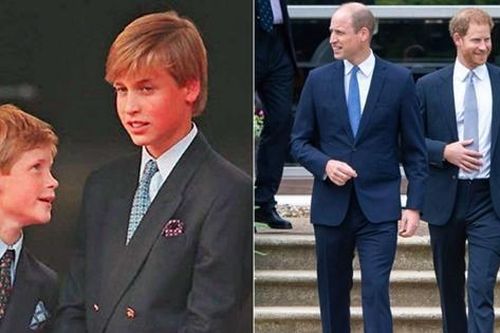 Tiết lộ lời Harry nói với William hồi nhỏ: Như dự báo tương lai, Công nương Diana cũng sốc