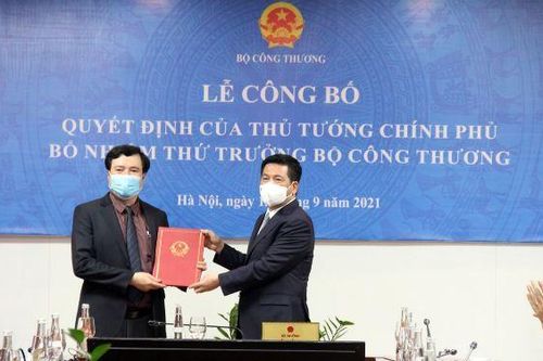 Thứ trưởng Nguyễn Sinh Nhật Tân phụ trách lĩnh vực gì ở Bộ Công Thương?