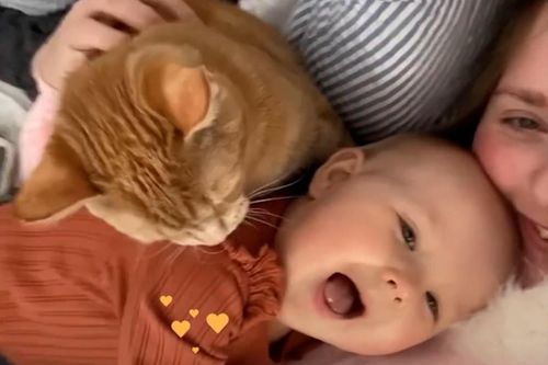 Bé gái và mèo con lớn lên bên nhau