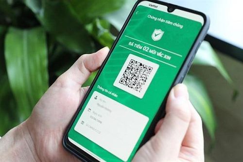 TP Hồ Chí Minh sẽ triển khai ứng dụng 'Y tế Hồ Chí Minh' tại 3 quận, huyện