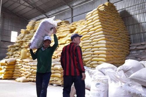 Lưu thông nông sản, không thể cứng nhắc theo địa giới hành chính