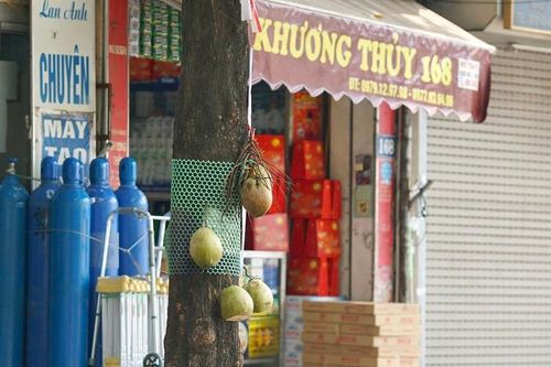 Hà Nội tiêm vắc xin diện rộng, mặt hàng này đắt khách...dân đua nhau bán