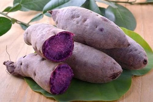 Chế 'mỹ tửu' từ… khoai lang tím