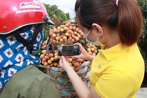 Từ ngôi làng nhỏ Việt Nam thành tay bán buôn xuyên biên giới