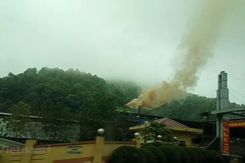 Việt Nam nỗ lực bảo vệ tầng ozone, bảo quản thực phẩm và vaccine