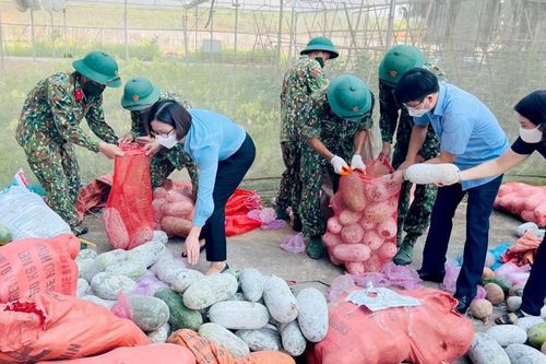 Tuyên Quang hỗ trợ 350 tấn nông sản cho Hà Nội chống dịch COVID-19