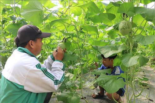 Giải thể dứt điểm các hợp tác xã không còn hoạt động trong giai đoạn 2021-2023