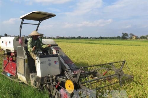 Liên hợp quốc: Các khoản hỗ trợ nông nghiệp đang làm sai lệch giá cả